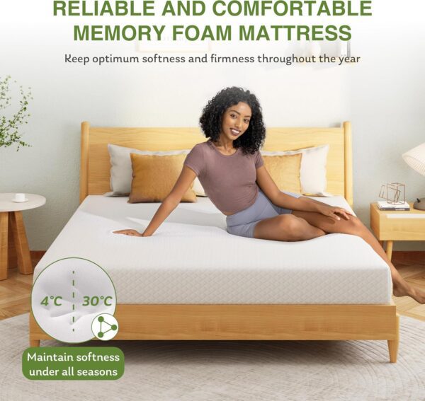 EGOHOME 8 Inch Twin Mattress